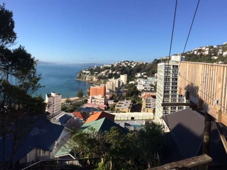 5 Moeller Street Mount Victoria_7