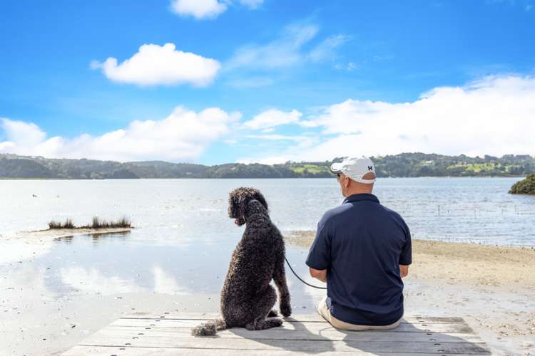 30 Sandpiper Avenue Point Wells_8