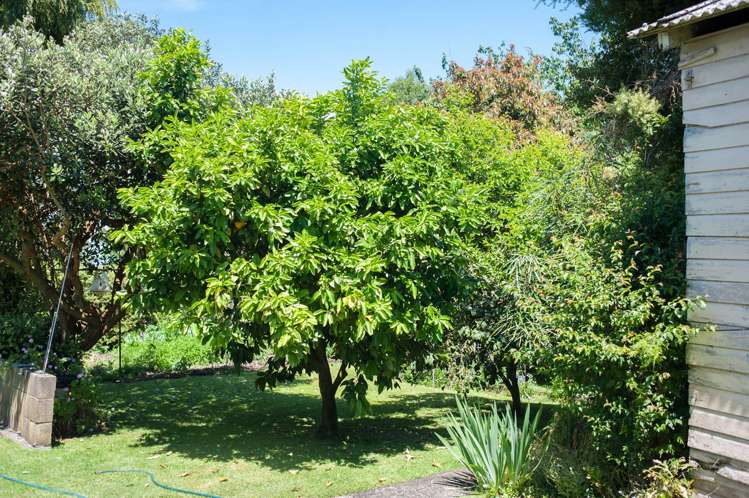 11 Glen View Avenue Otorohanga_10