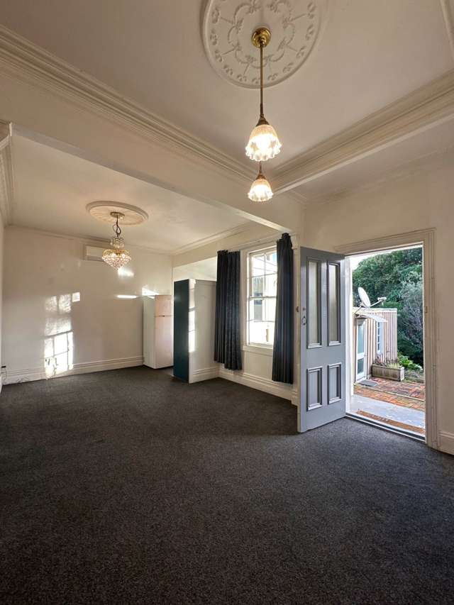 23B Commercial Road Grey Lynn_3