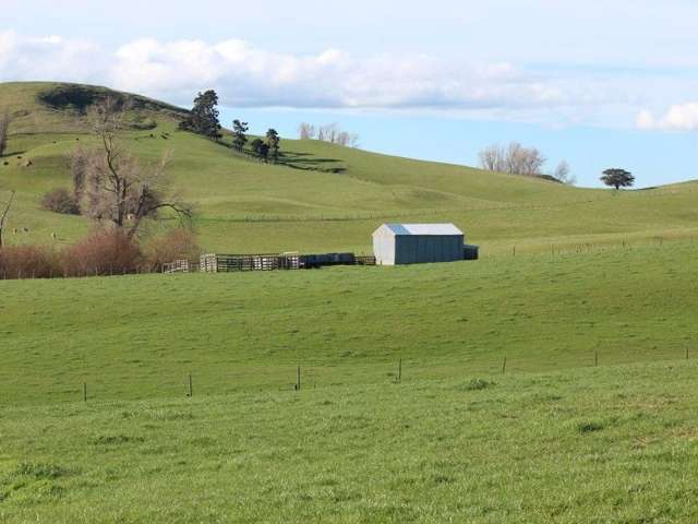 434 Hatuma Road Waipukurau and Surrounds_3