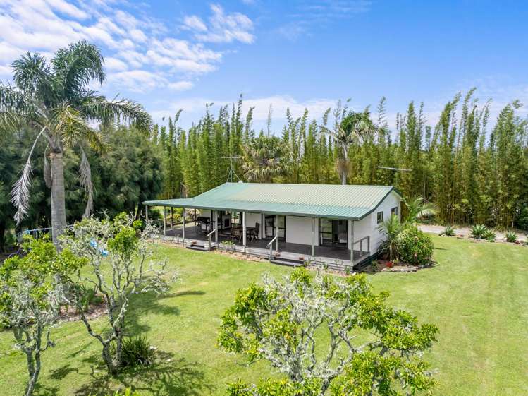 15 Insley Street Mangawhai_13