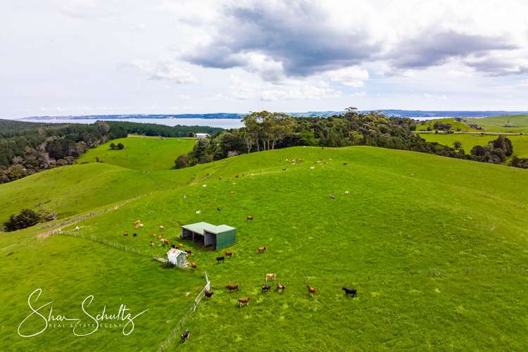 1509 Tinopai Road Tinopai_19