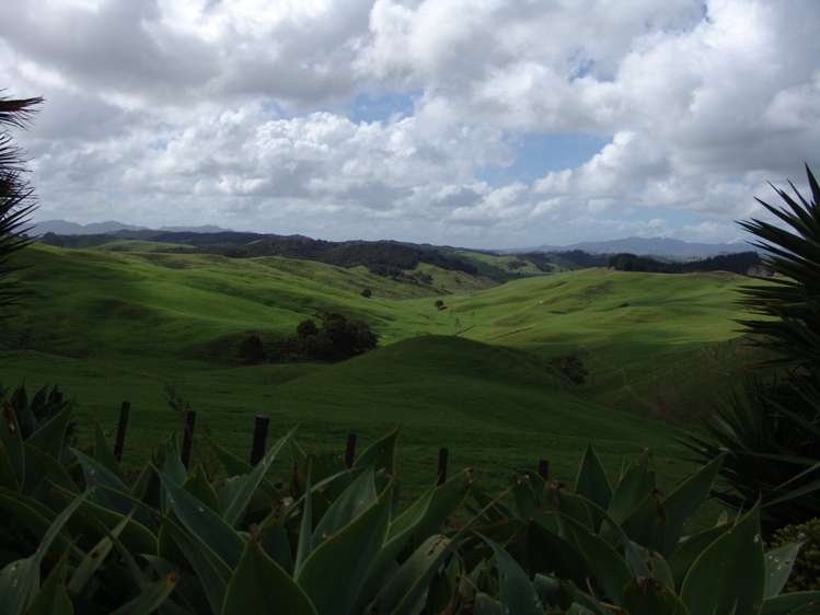 259 Arapohue Road Dargaville Surrounds_9