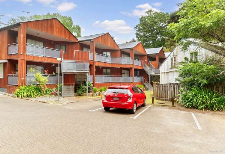 3/5 The Avenue Albany_8