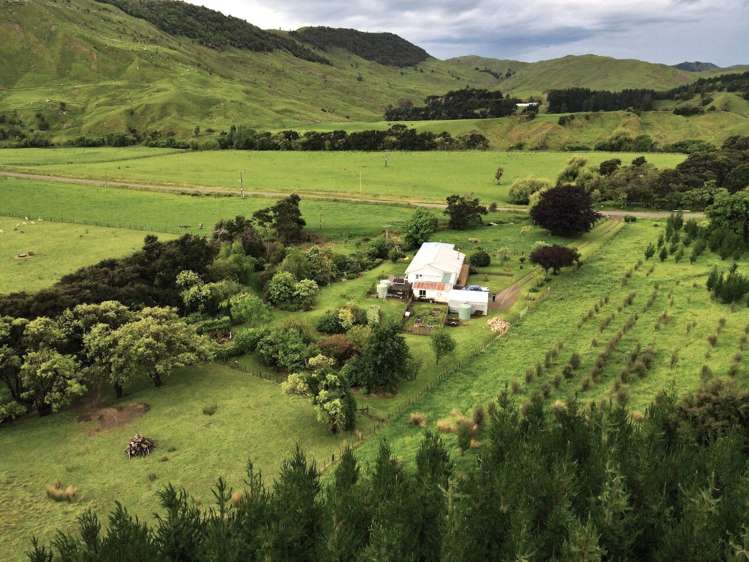 1550 Coast Road Pongaroa_5