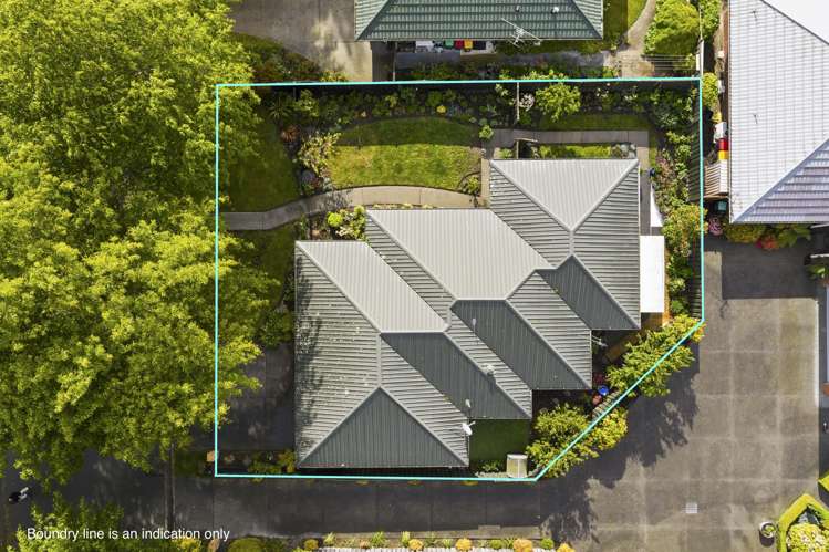 5 Villa Grove Ilam_32