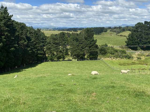 55 BEATTY ROAD Dannevirke_3