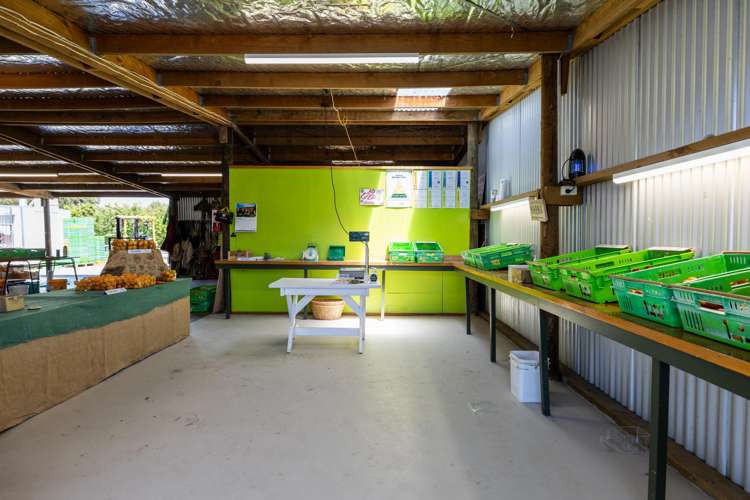 209 Onehunga Road Bay View_25