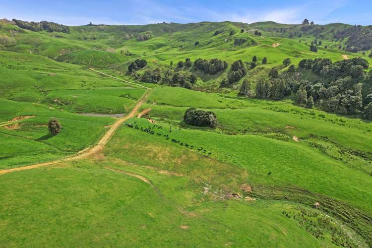 895 Wairamarama Onewhero Road Onewhero_27