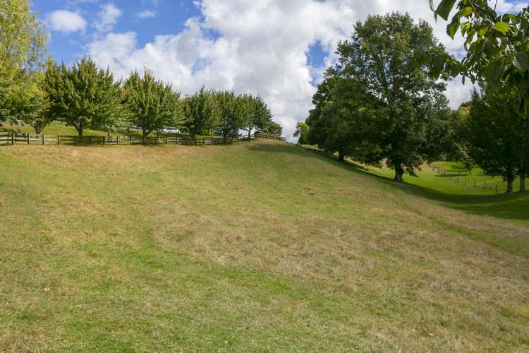 139 Palmer Mill Road Wairakei and Surrounds_48