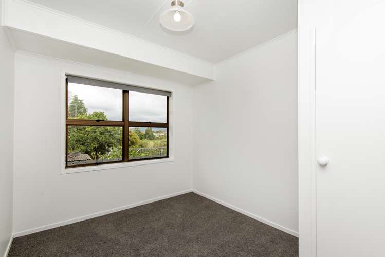 57b Grant Road Opotiki and Surrounds_8