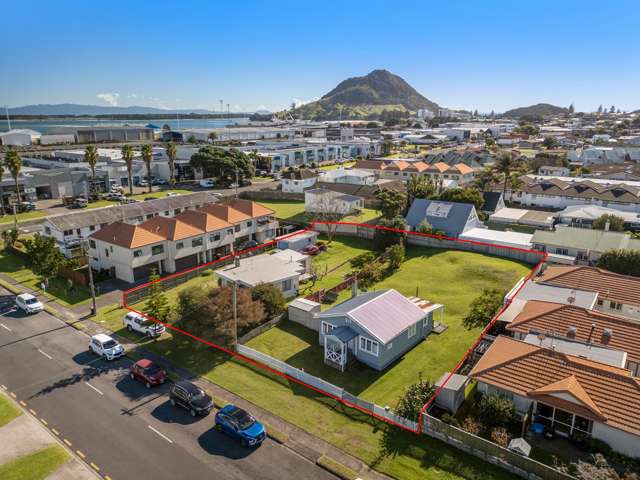 Prime Development Opportunity in Downtown Mount