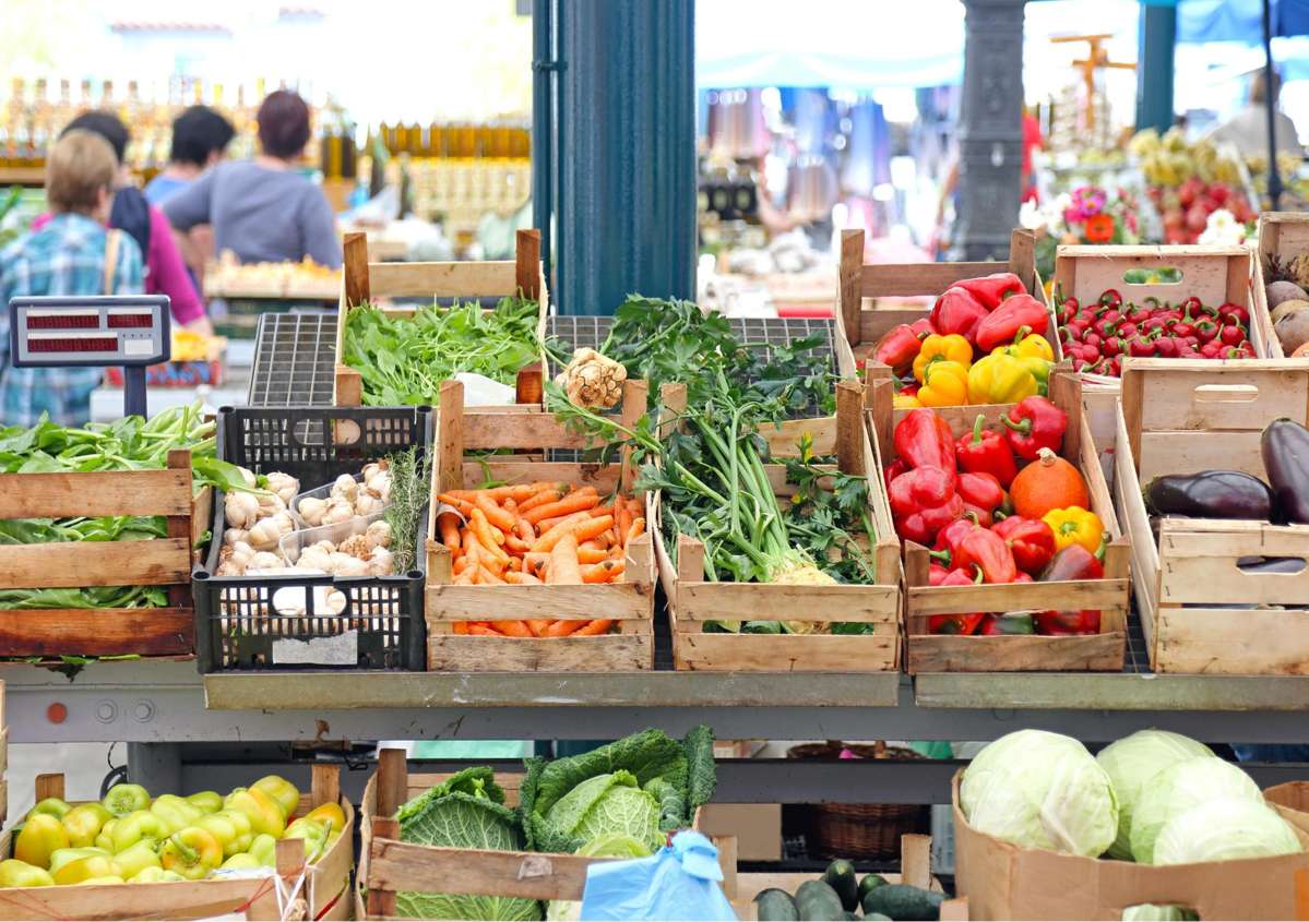 Stage 1 Iona Development_1