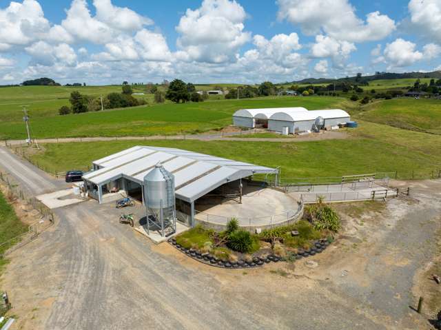 224 Herbert Road Morrinsville_3