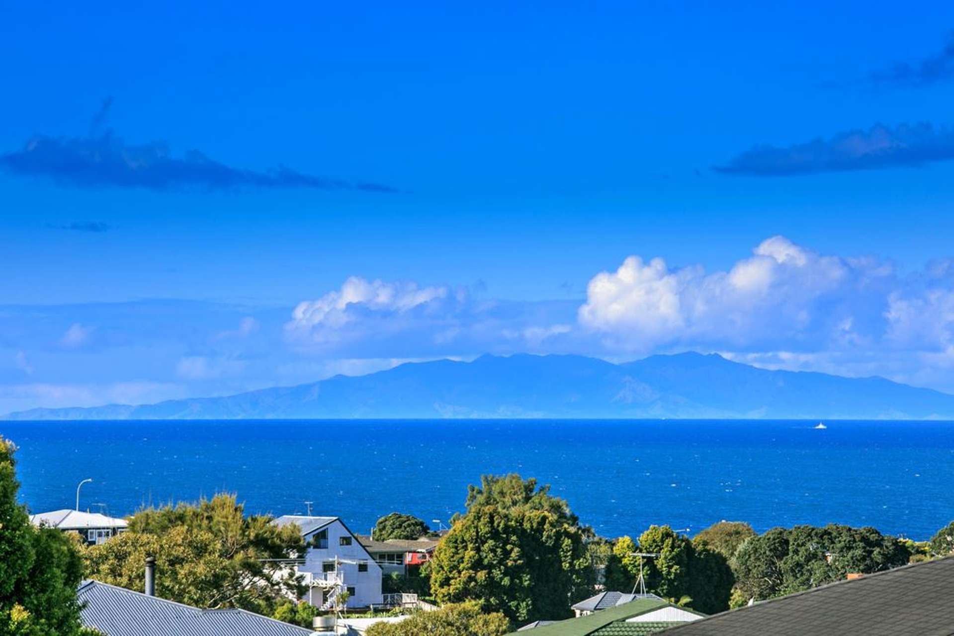 421 East Coast Road Mairangi Bay_0