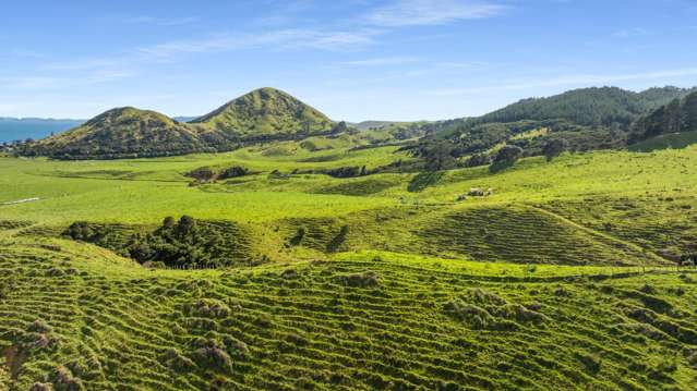 550 Black Jack Road Opito Bay_2