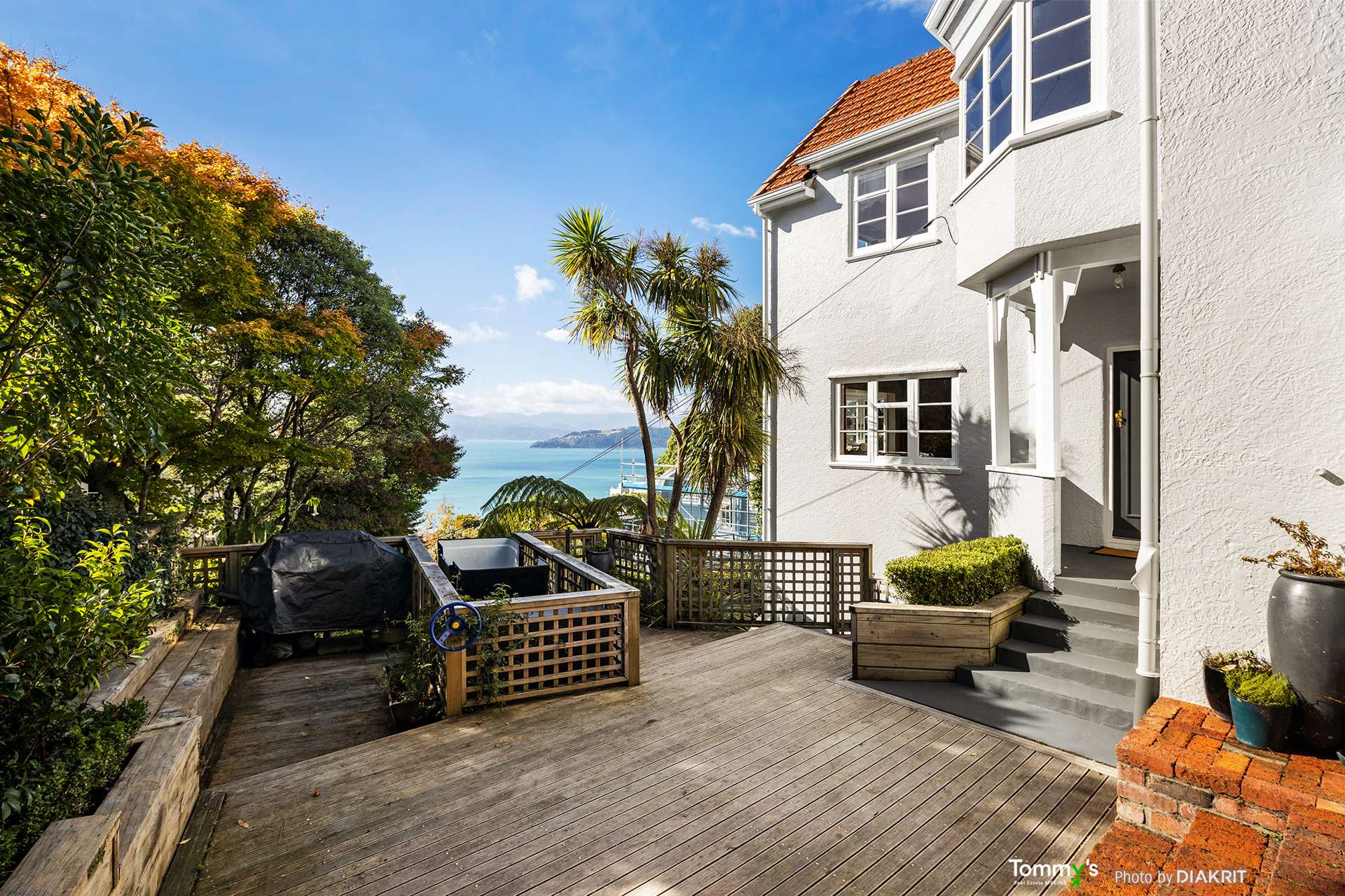 7 Lower Watt Street Wadestown_0