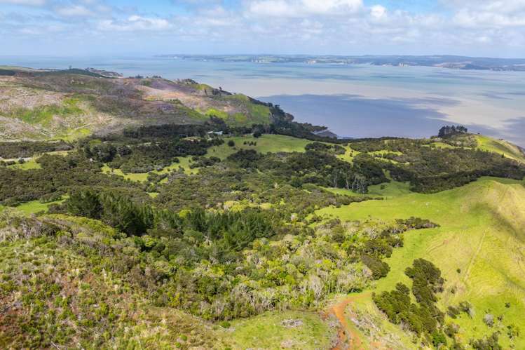 167 Summer Road Tinopai_45