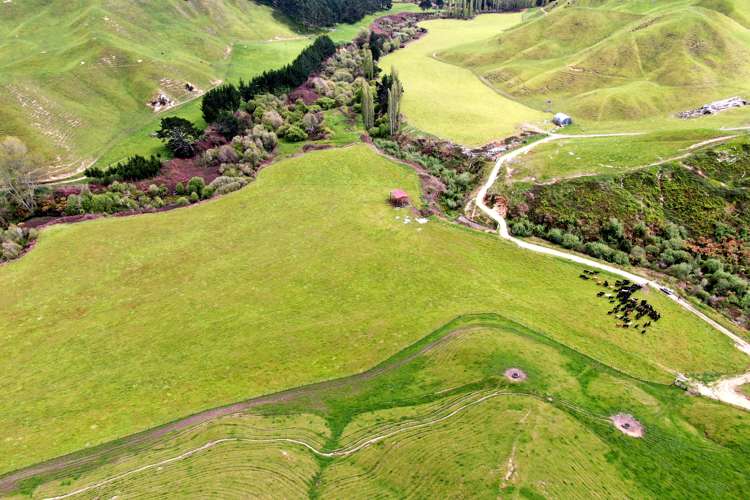 166 Airstrip Road Pikowai_13