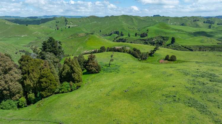 1163 Mangamako Road Ohingaiti_8