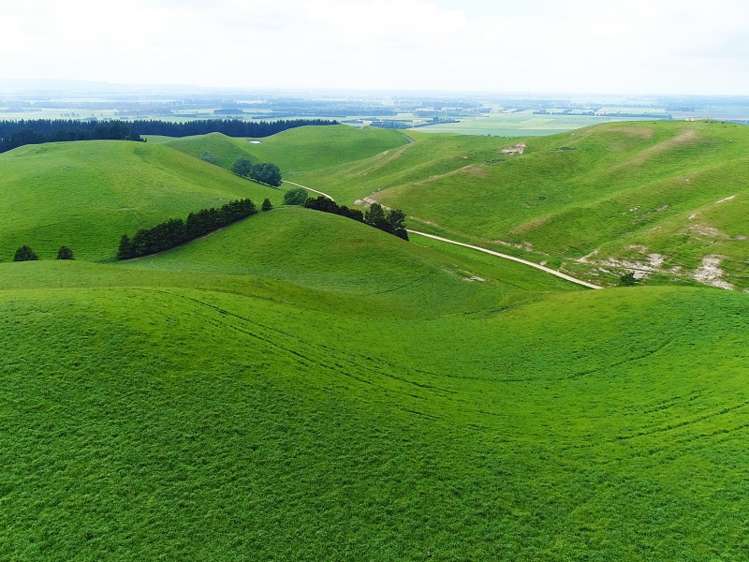 1471 Georgetown-Pukeuri Road Awamoko_6