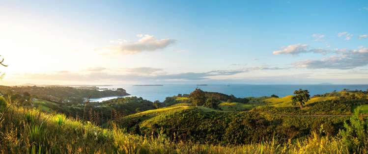 12 Lots Wawata Estate Waiheke Island_18