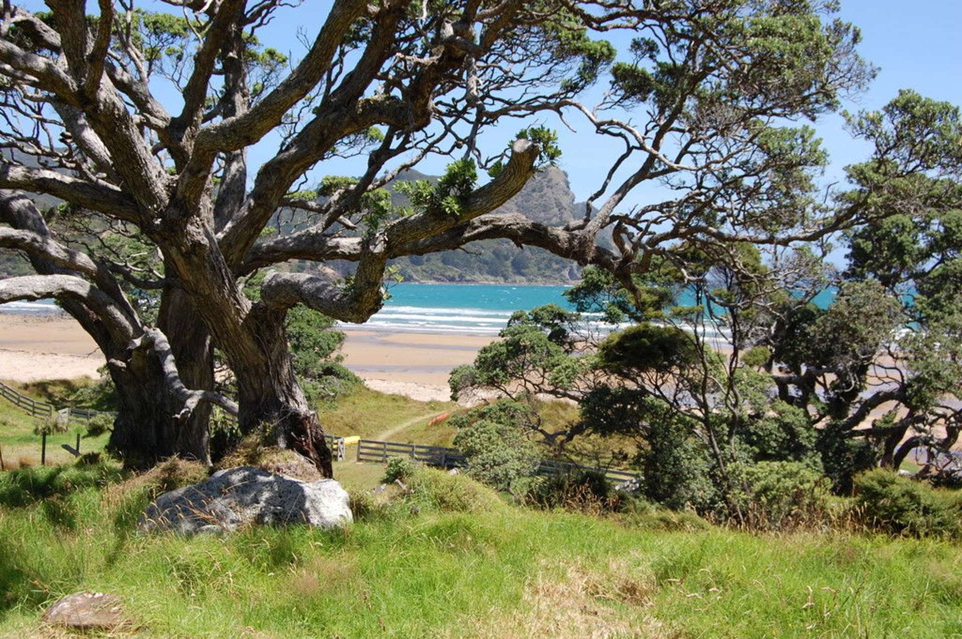 333 Blind Bay Road Great Barrier Island (Aotea Island)_0