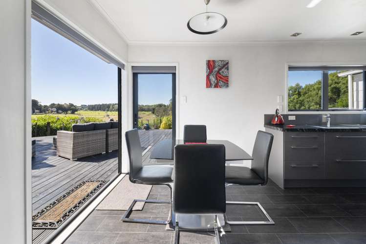 22 Ward Street Bulls_3