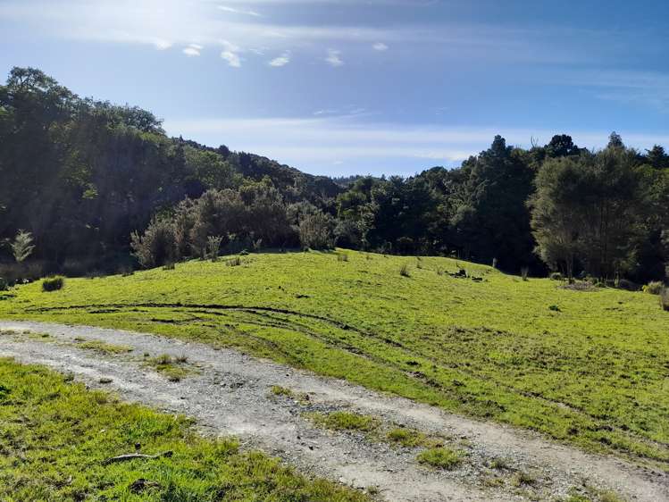 424 Paranui-Toatoa Road Taipa_15