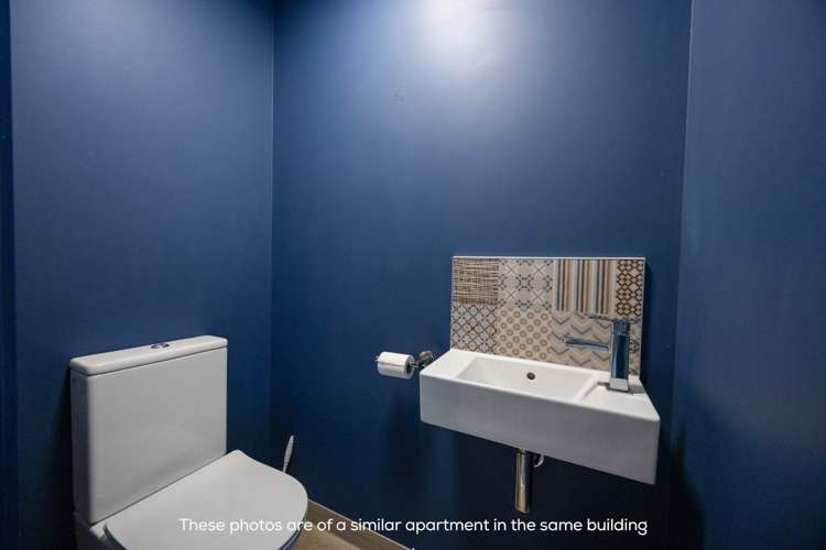 9xUnits 7 Layard Street Avondale_9