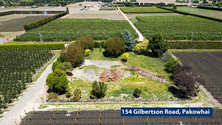 154 Gilbertson Road Pakowhai_5