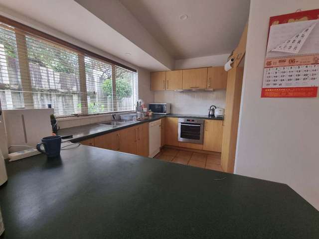 2A Hardley Avenue Mount Roskill_4