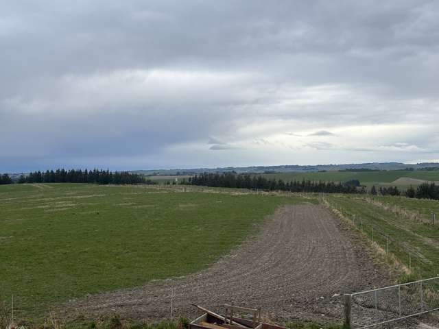 A lifestyle with options