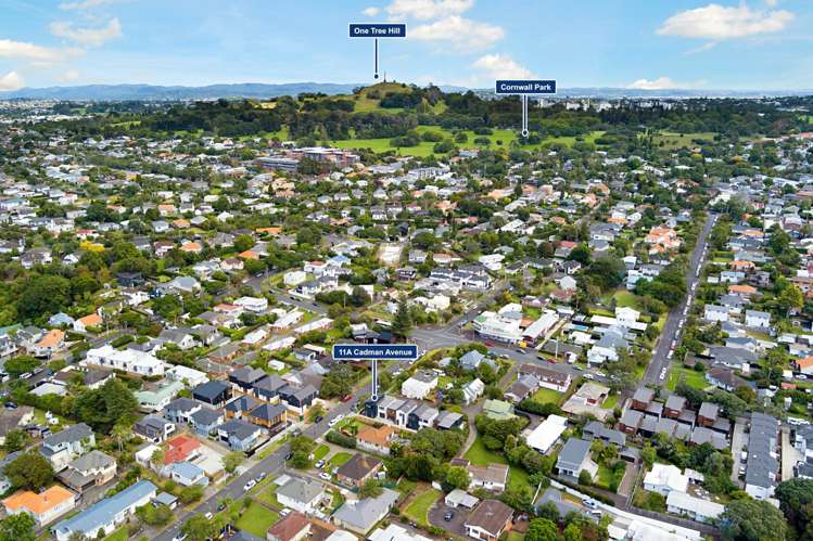 11B Cadman Avenue Greenlane_22