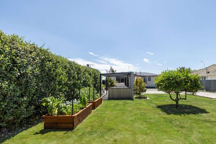 303 Pakowhai Road Frimley_18