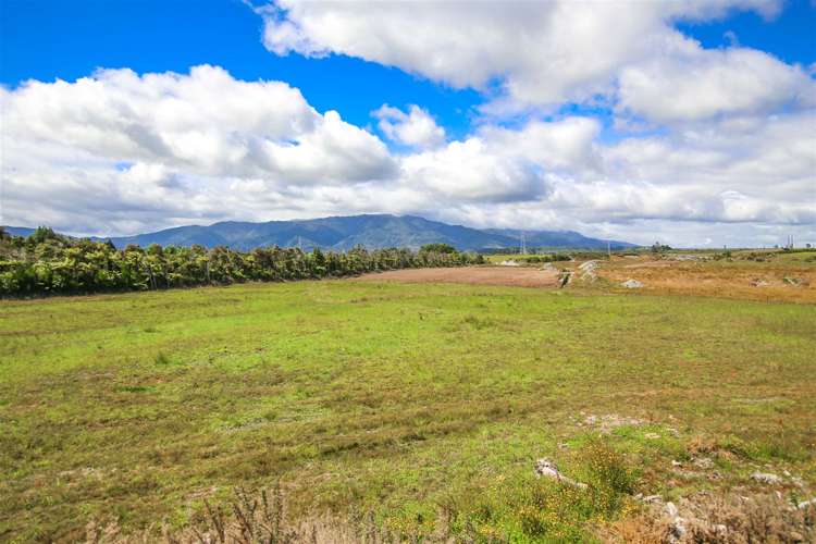 Alma Road Westport_7