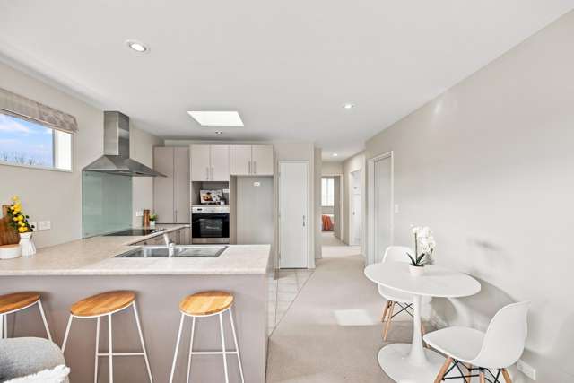 212A Racecourse Road Sockburn_2