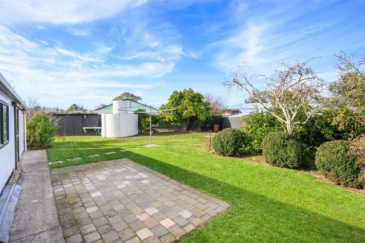 6 Flower Street Bulls_40