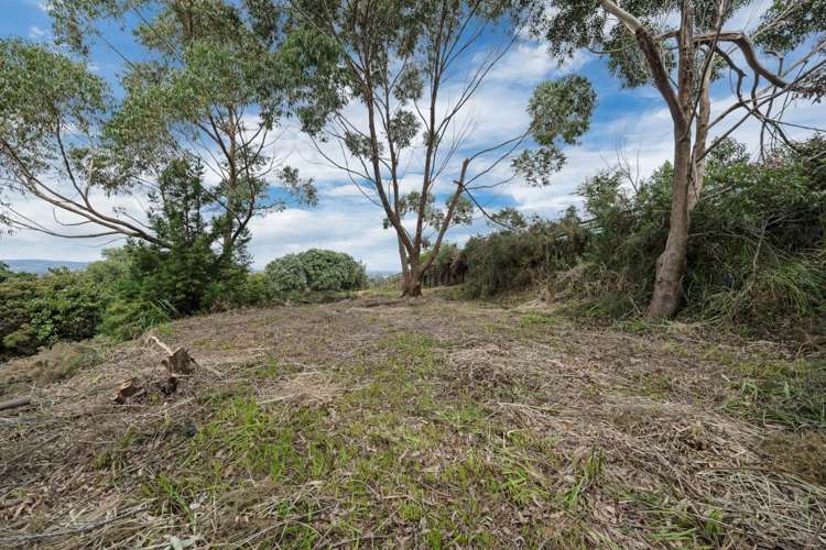 291 Hill Road The Gardens_33