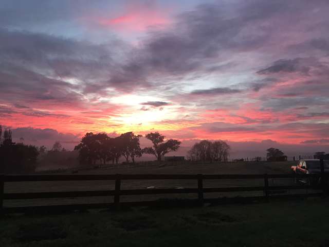 Lot 3/35 Minnie Casey Rise Matakohe_1