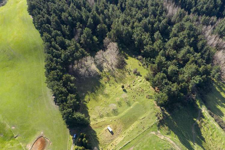 No 1 Line Pohangina_9