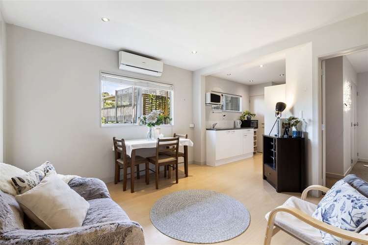 51b Belfast Street Hillsborough_14