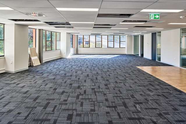 11 Aurora Terrace Wellington Central_2