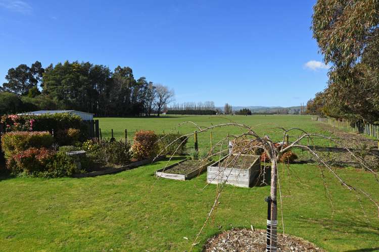 33 Reading Street Greytown_11