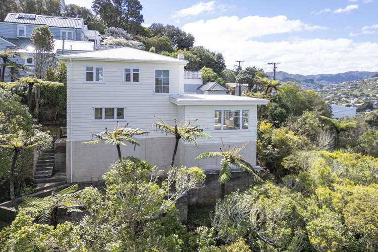 74 Ponsonby Road_4