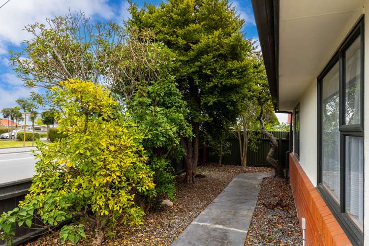 176c High Street Blenheim Central_16