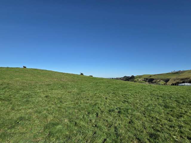 Lot 7 Mititai Road Dargaville_3