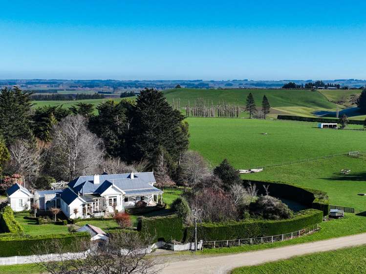 125B Davidson Road Mimihau_1