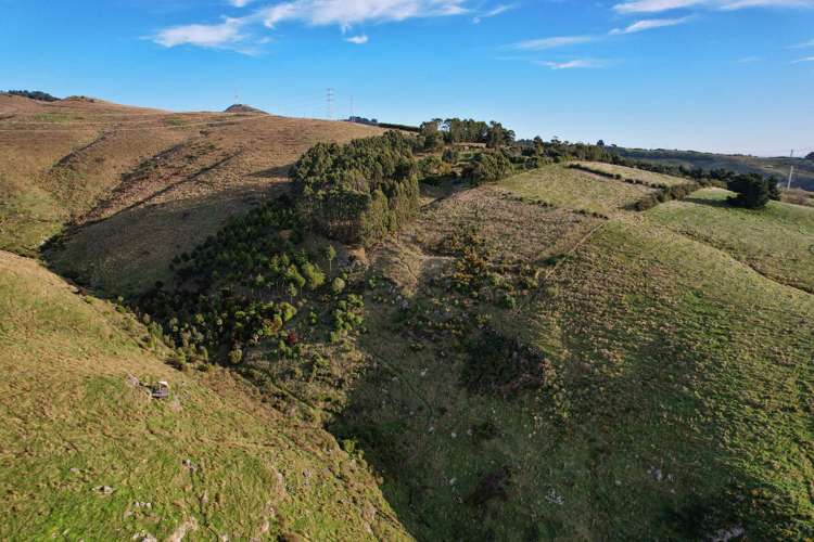 231 Huntsbury Avenue Cashmere_5